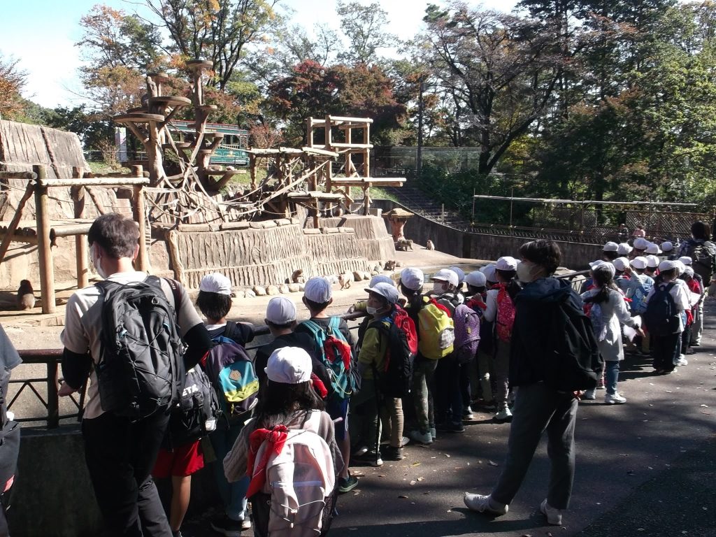 ２年生 秋の遠足「多摩動物公園」